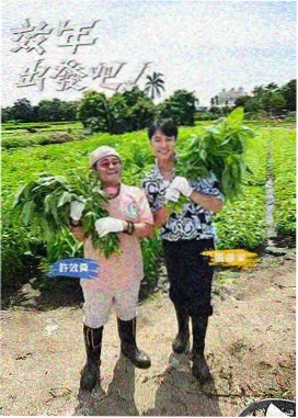 云端食堂 户外美食综艺免费播放